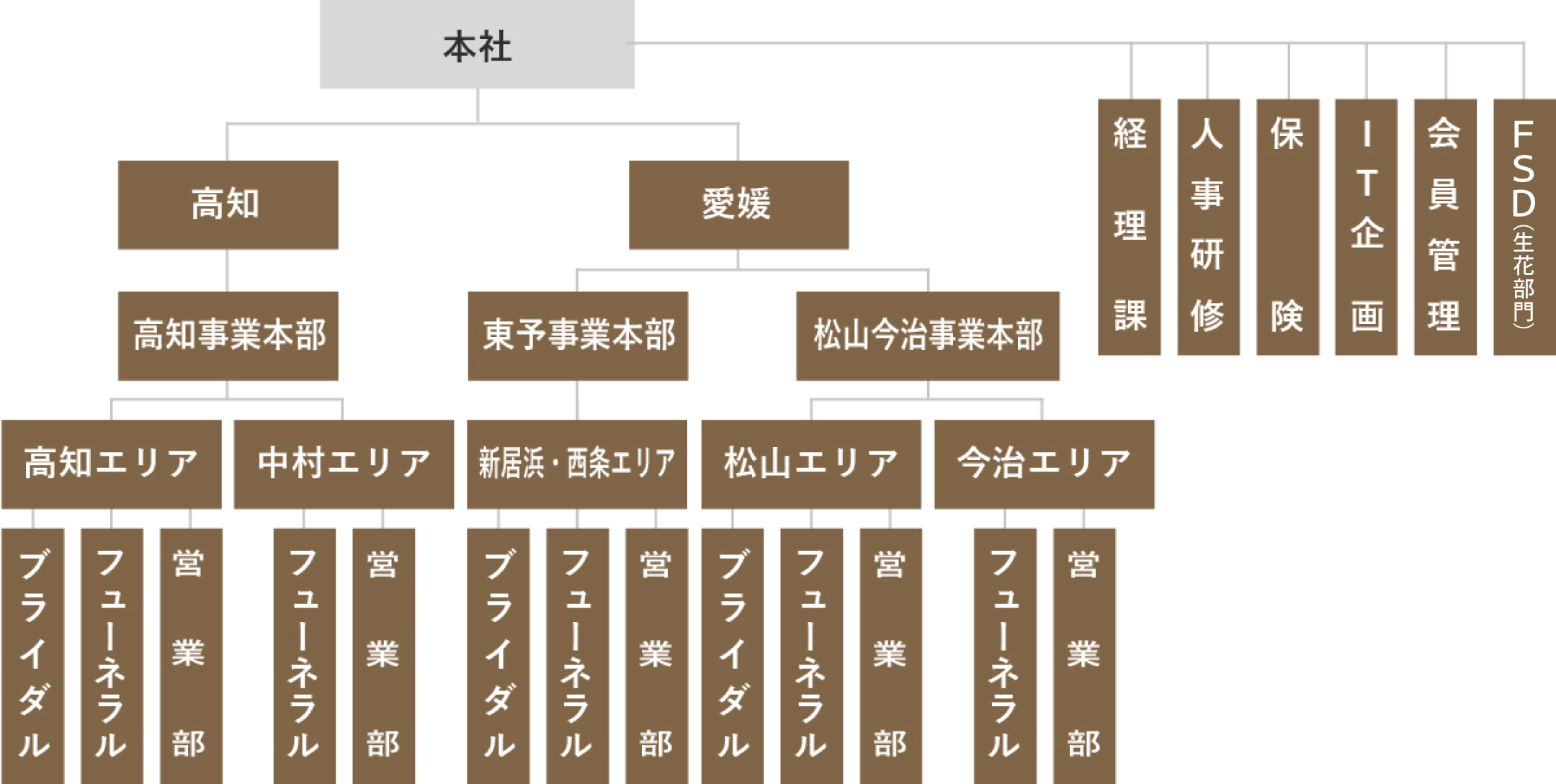組織系列イラスト